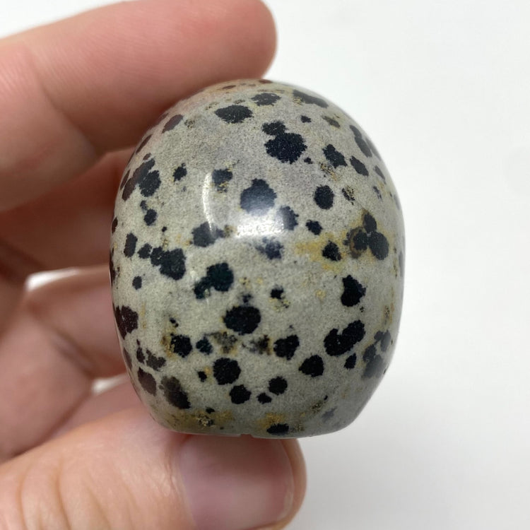 Dalmatian Jasper Skull Carving