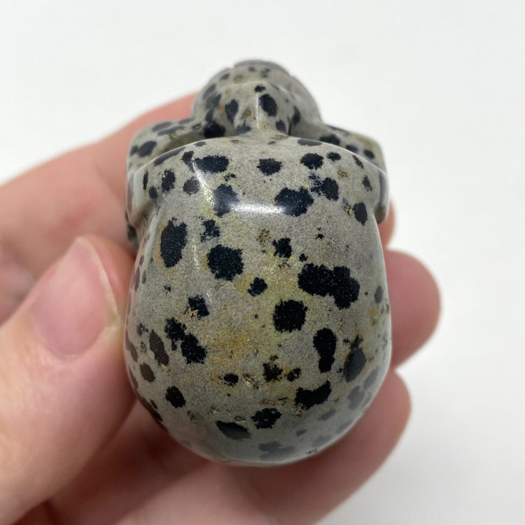 Dalmatian Jasper Skull Carving