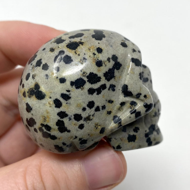 Dalmatian Jasper Skull Carving