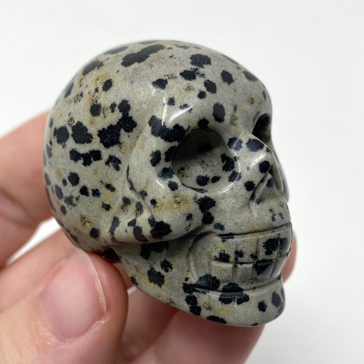 Dalmatian Jasper Skull Carving