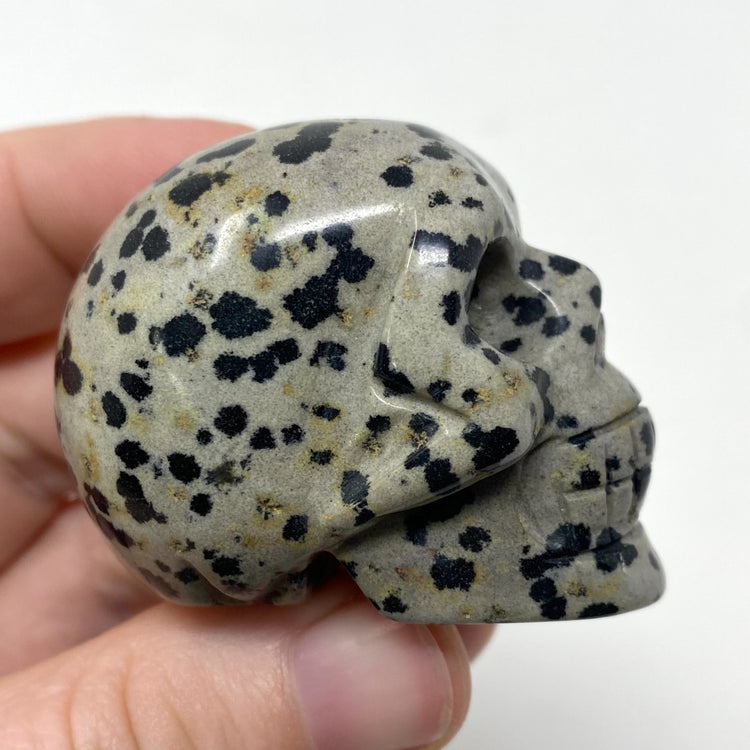 Dalmatian Jasper Skull Carving