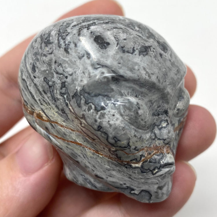 Map Stone Picasso Jasper Alien Head Carving