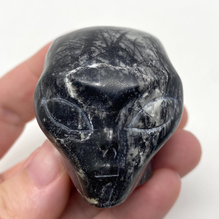 Spiderweb Jasper Alien Head Carving