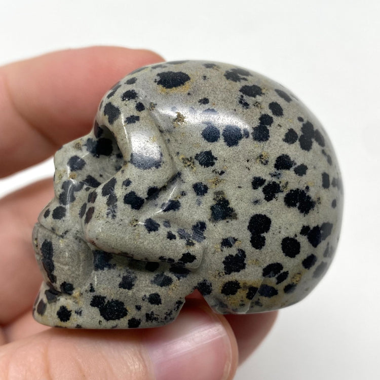 Dalmatian Jasper Skull Carving