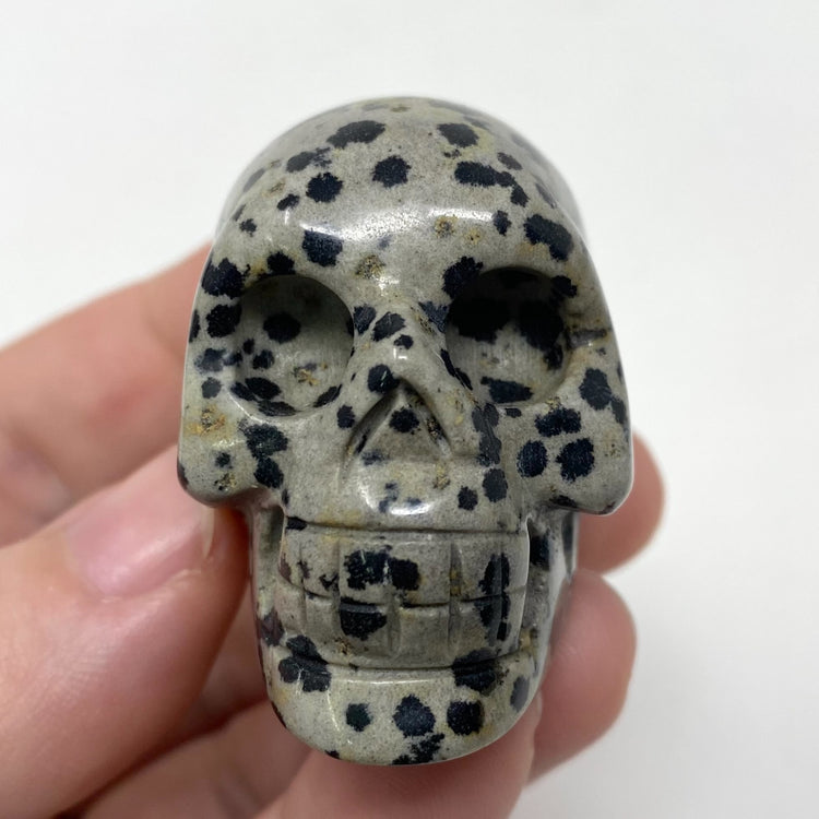 Dalmatian Jasper Skull Carving