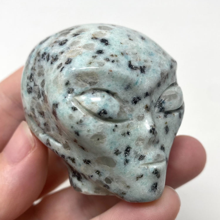 Kiwi Jasper Alien Head Carving