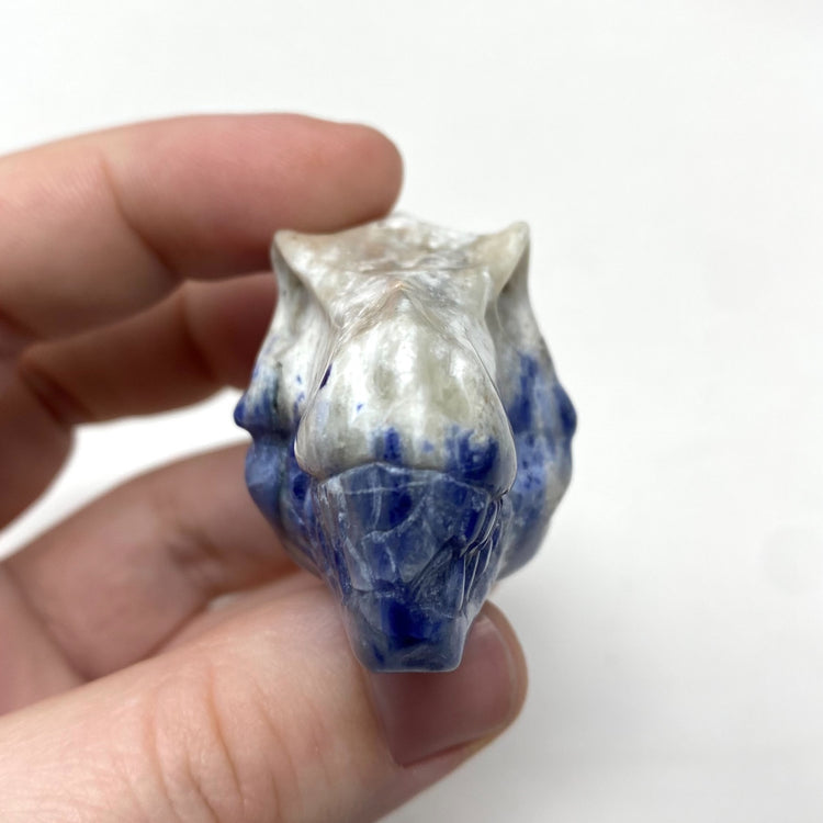 Sodalite T-Rex Dinosaur Head Carving