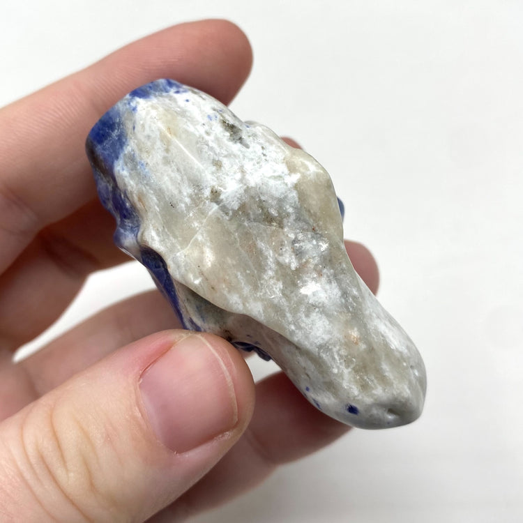 Sodalite T-Rex Dinosaur Head Carving