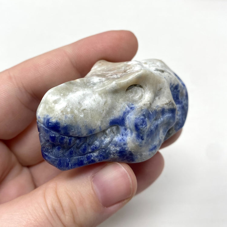 Sodalite T-Rex Dinosaur Head Carving