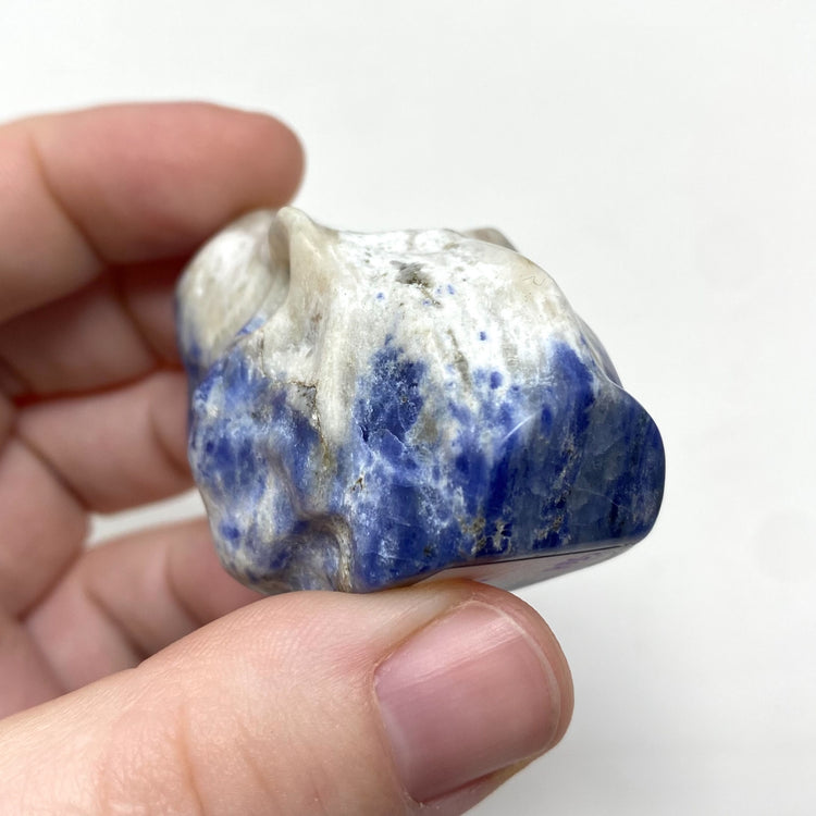 Sodalite T-Rex Dinosaur Head Carving