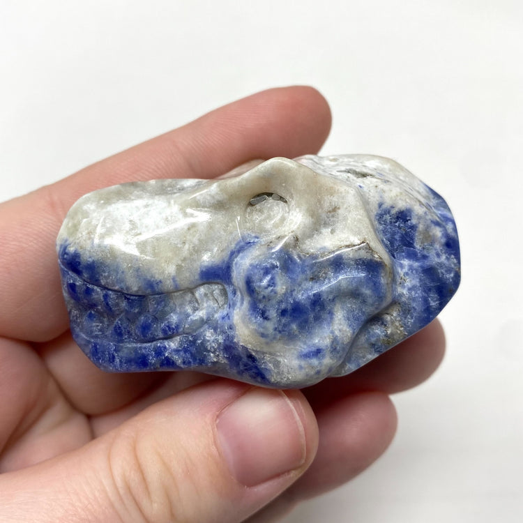 Sodalite T-Rex Dinosaur Head Carving