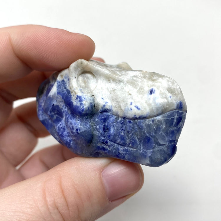 Sodalite T-Rex Dinosaur Head Carving