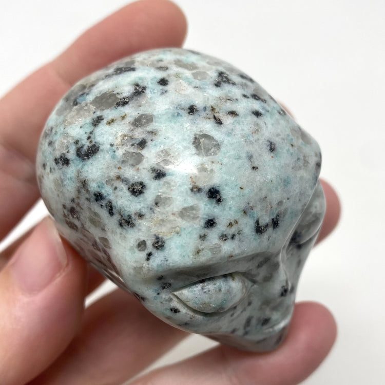 Kiwi Jasper Alien Head Carving