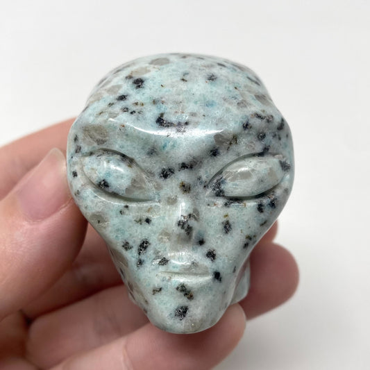 Kiwi Jasper Alien Head Carving