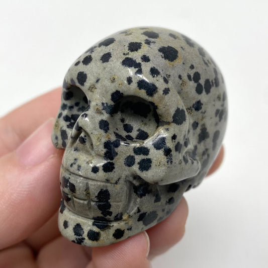 Dalmatian Jasper Skull Carving