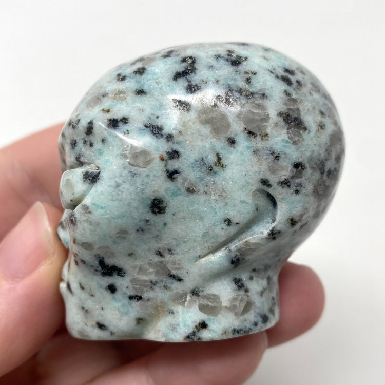 Kiwi Jasper Alien Head Carving