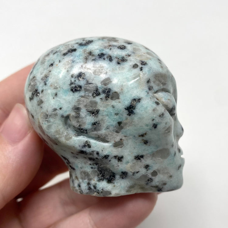 Kiwi Jasper Alien Head Carving