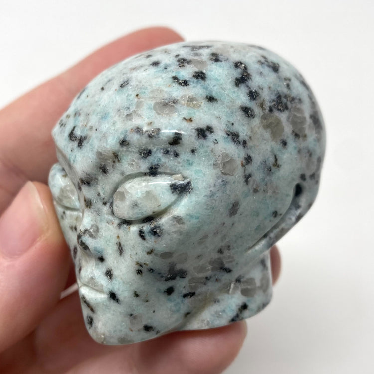 Kiwi Jasper Alien Head Carving