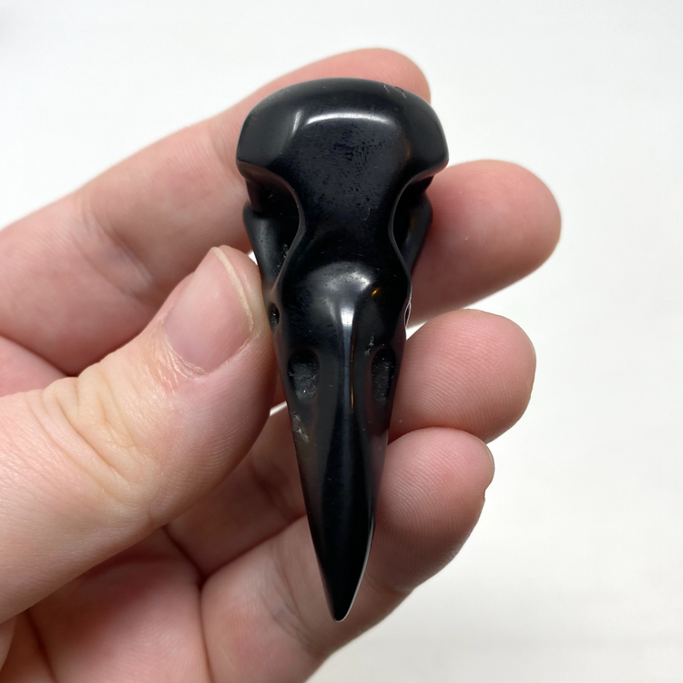 Silver Sheen Black Obsidian Bird Skull Carving