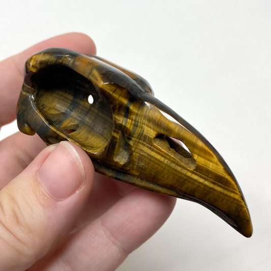 Medium Tiger’s Eye Raven Skull Carving