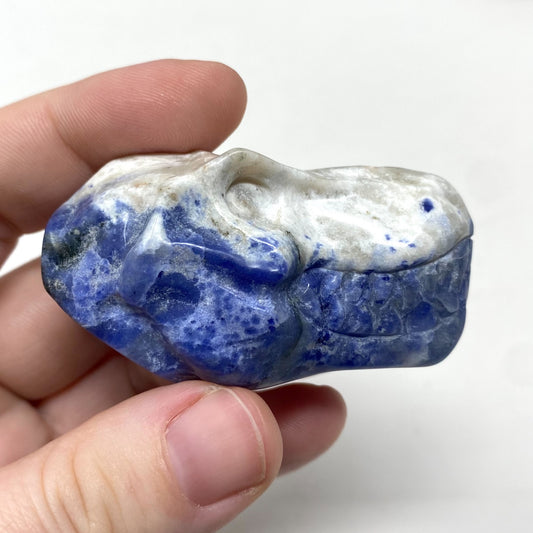 Sodalite T-Rex Dinosaur Head Carving